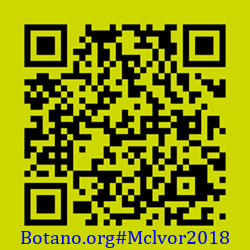 https://Botano.org/QR/Mclvor2018.png