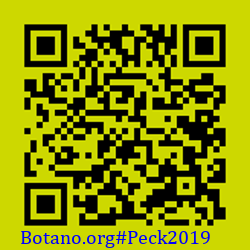 https://Botano.org/QR/Peck2019.png