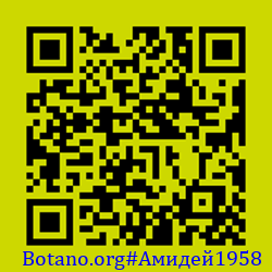 https://Botano.org/QR/Амиде_1958.png