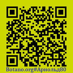 https://Botano.org/QR/Арнольд80.png