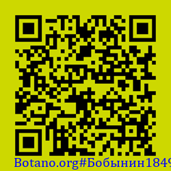 https://Botano.org/QR/Бобынин1849.png