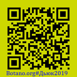 https://Botano.org/QR/Дьюк2019.png