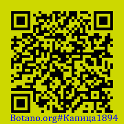 https://Botano.org/QR/Капица1894.png