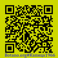 https://Botano.org/QR/Капица1966.png