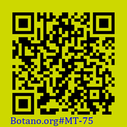 https://Botano.org/QR/МТ-75.png