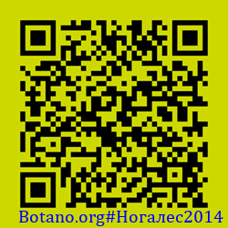 https://Botano.org/QR/Ногалес2014.png