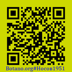 https://Botano.org/QR/Носов1951.png