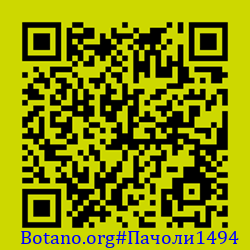https://Botano.org/QR/Пачоли1494.png