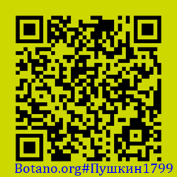 https://Botano.org/QR/Пушкин1799.png
