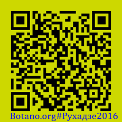 https://Botano.org/QR/Рухадзе2016.png