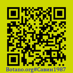 https://Botano.org/QR/Савин1987.png