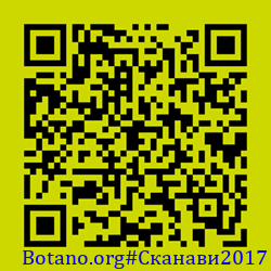 https://Botano.org/QR/Сканави2017.png