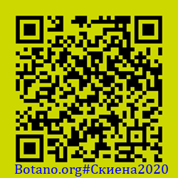 https://Botano.org/QR/Скиена2020.png