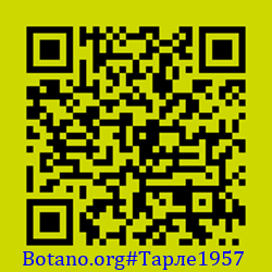 https://Botano.org/QR/Тарле1957.png