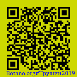 https://Botano.org/QR/Трушин2019.png
