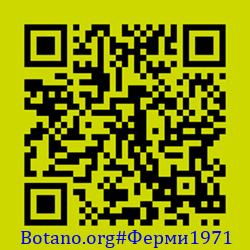 https://Botano.org/QR/Ферми1971.png