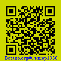 https://Botano.org/QR/Фишер1958.png