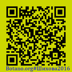 https://Botano.org/QR/Шихова2016.png
