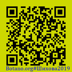 https://Botano.org/QR/Шихова2019.png