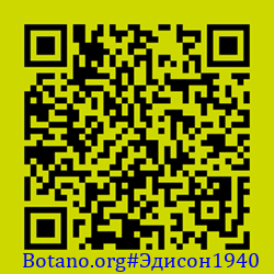 https://Botano.org/QR/Эдисон1940.png